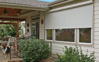 Outdoor Shade Ideas for Stylish Backyard Living