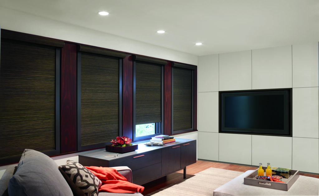 Roller Shade Media Room