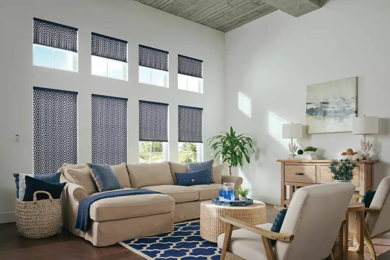 Pleated Shade Windows (1)