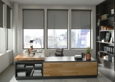 Solar Shades Condo View (1)