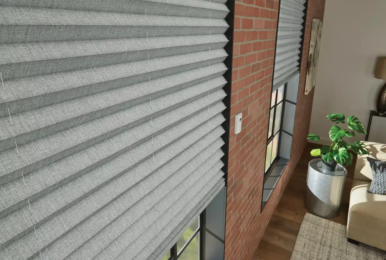 Textured Pleated Shades (1)